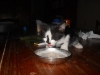 cat-eating-yummy