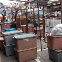 IMG_20160718_154933304