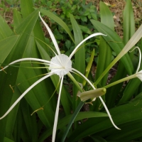 IMG_20160718_161548776