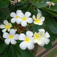 IMG_20160719_141524776