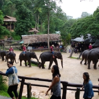 IMG_20160721_100150204