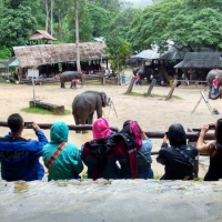 IMG_20160721_101550203_HDR