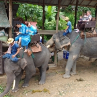 IMG_20160721_105744847