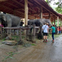 IMG_20160721_115514401_HDR