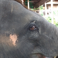 IMG_20160721_120220056