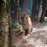 IMG_20160721_133957767