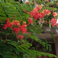 IMG_20160722_093630785