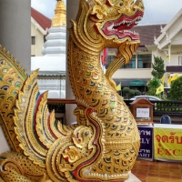 IMG_20160722_100208425_HDR