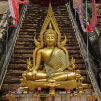 IMG_20160722_102301093