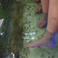 IMG_20160722_201624976