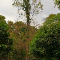 IMG_20160728_113507671