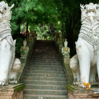 IMG_20160728_114804824_HDR