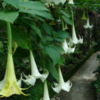 IMG_20160728_115018336